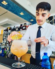 Barman per extra ed eventi