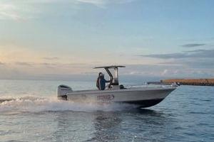 PETTERUTTI 24 CC + 250HP HONDA( 2022)