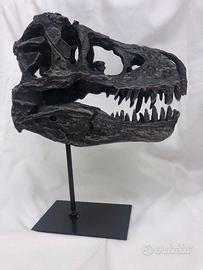 CRANIO  XL TESCHIO T-Rex REPLICA IN RESINA SU BASE