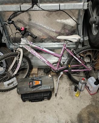 bici Mountain bike 
