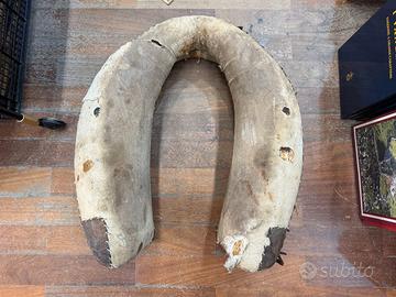 Antico collare per cavalli da tiro