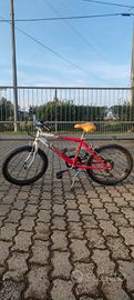 bicicletta bambino/a 20 pollici 
