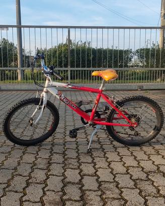 bicicletta bambino/a 20 pollici 