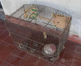MINI-GABBIA CANARINI UCCELLINI ESOTICI