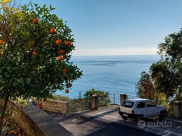 Ampio appartamento vista mare