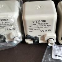 Termovalvole caldaia