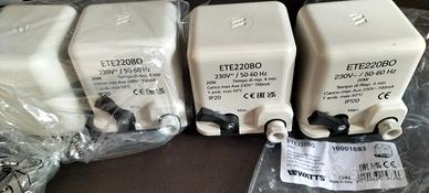 Termovalvole caldaia