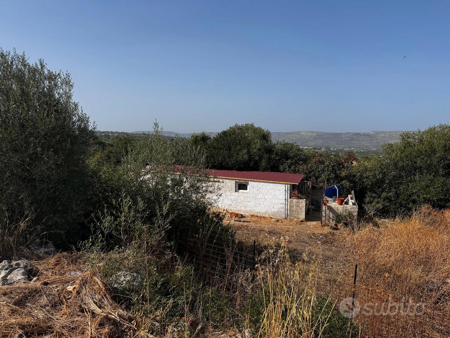 Terreno panoramico di 9.000 m² con magazzino - Vista 2