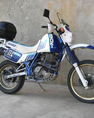 Suzuki dr 600 djebel