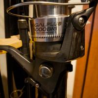 COPPIA CANNE AVID CARP CURVEX E MULINELLO DAIWA 