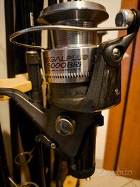 COPPIA CANNE AVID CARP CURVEX E MULINELLO DAIWA 