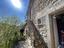 Immagine 23