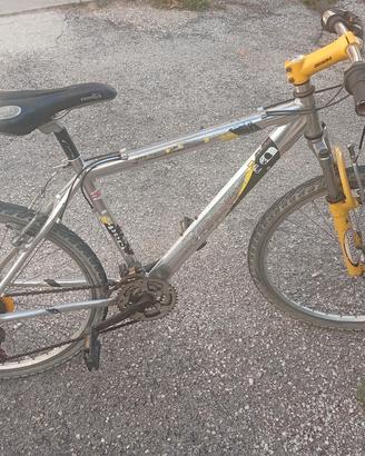 bicicletta