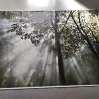 quadro - stampa su tessuto - poster