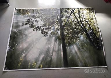 quadro - stampa su tessuto - poster
