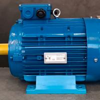 Generatore Eolico 4Kw 220v  300 giri