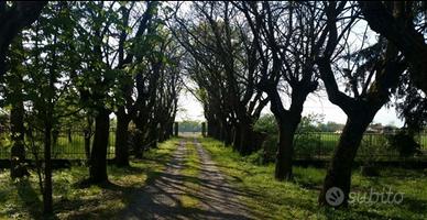 Villa d'epoca con fascino storico