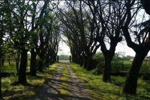 Villa d'epoca con fascino storico