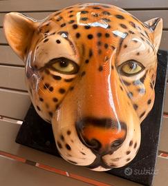 Testa di Leopardo