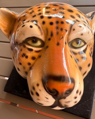 Testa di Leopardo
