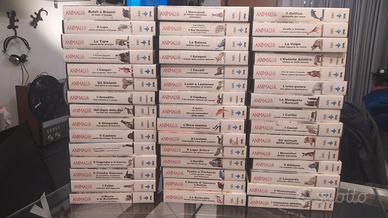 video cassette VHS Animali in primo piano De Agost