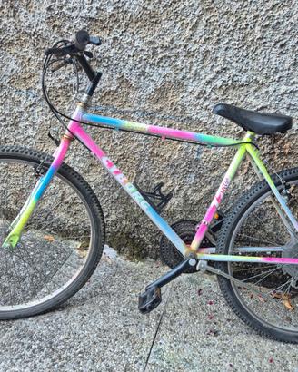 Bicicletta MB Unisex