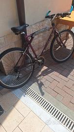 bicicletta