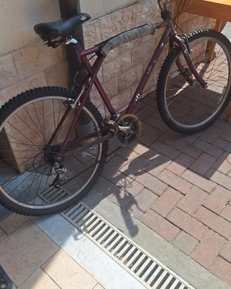 bicicletta