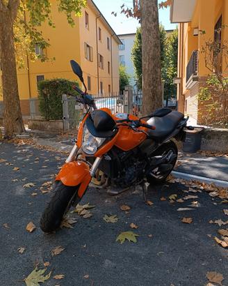 Honda Hornet 600 ABS  2009 42.000km