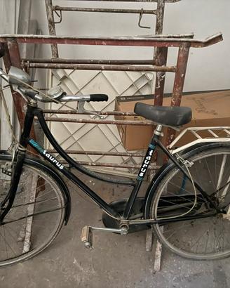Bici taurus