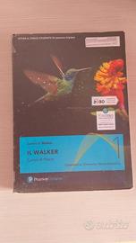 Il Walker 1