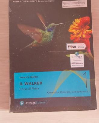 Il Walker 1