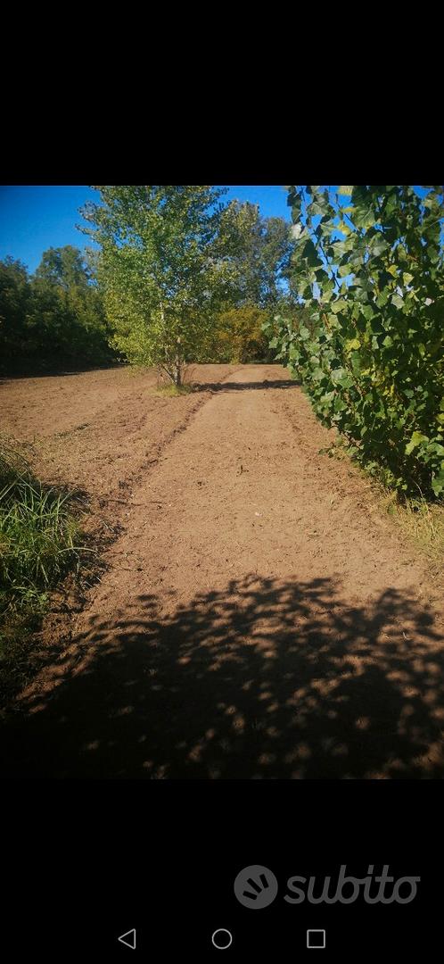Terreno agricolo Marigliano - Vista 3