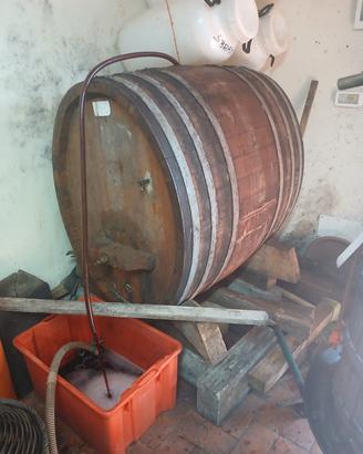 Botte in rovere 
