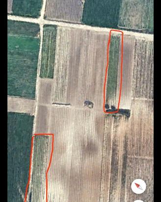 Terreno agricolo con catastino zona Busala- Casale