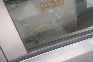 OPEL Meriva 1ª serie - 2009