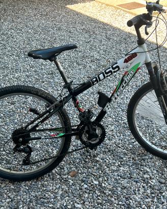 Bottecchia Boss488