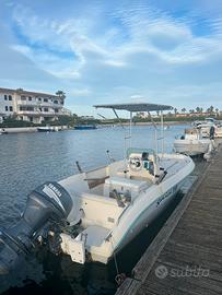 Barca Gaia 190 con motore 40cv