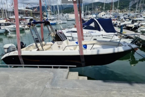 Terminal Boat Freestyle 21+Envirude E-TEC 90 HP