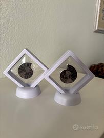 Coppia ammoniti fossili