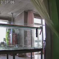 acquario marino