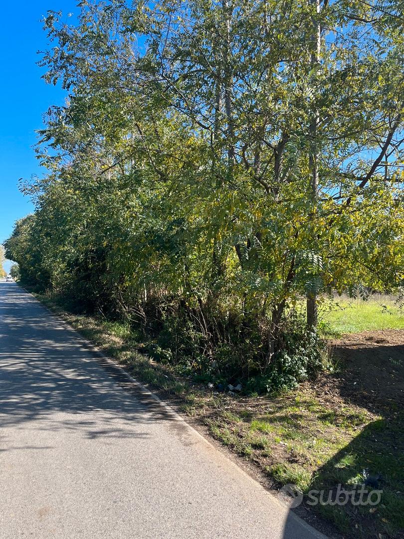 Lotto di terreno 1200 - Vista 5