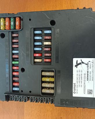 Centralina SAM Smart Fortwo 451 – Ricambio/Riparaz