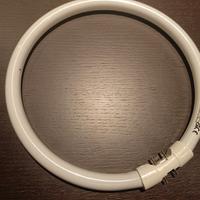 Lampadine circolari Philips TL5 Circular 22W / 840