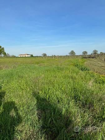 Terreno di 16000 m² a Castelfranco Emilia - Vista 5