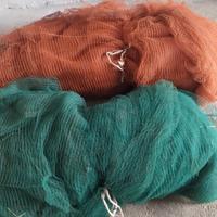 reti olive