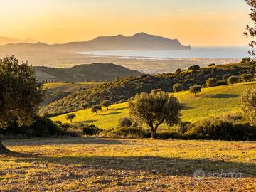 QuoteTerreno edificabile Guardia Santali Sarroch