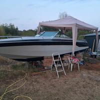 Chris Craft Scorpion 230 ltd