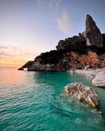 Sardegna G.Orosei last min settembre GIRASOLE OG