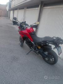 multistrada 950